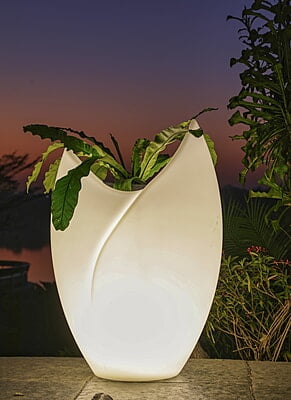 LED Tulip LED Tulip