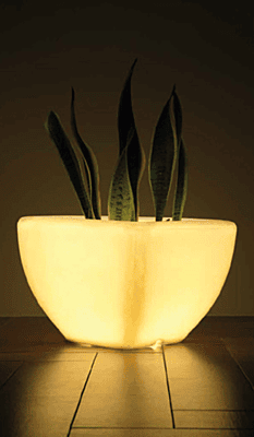 LED Quad - XL LED Quad - XL